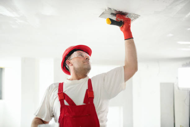 Best Industrial Mold Remediation  in East Griffin, GA