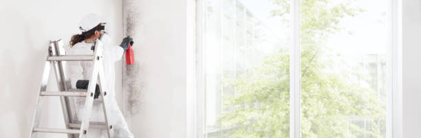 Best Mold-Related Health Consultation  in East Griffin, GA