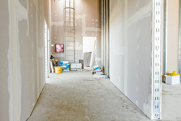 Best Post-Construction Mold Inspection  in East Griffin, GA